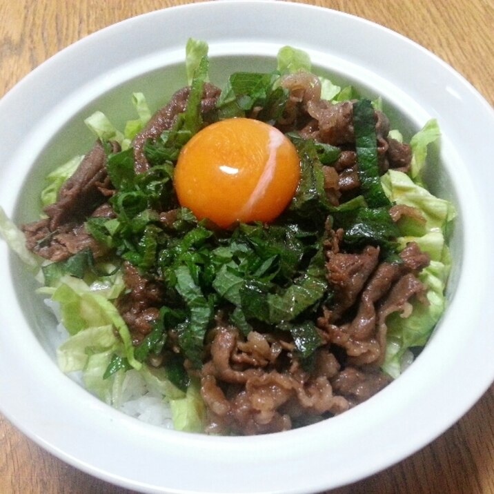 うちのおいしー牛丼